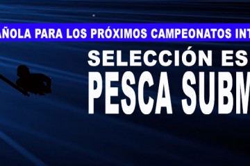 banner seleccion española 2017
